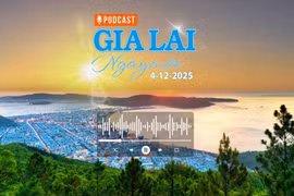 Gia Lai ngày mới 4-12: Gia Lai ban hành Lệnh xây dựng công trình khẩn cấp các dự án, phương án bố trí ổn định dân cư vùng thiên tai