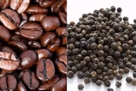 Ngày 19-10, cà phê và hồ tiêu cùng giảm 1.000 đồng/kg. Ảnh: Internet