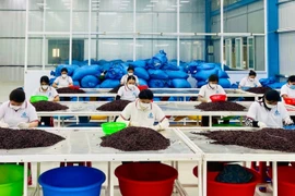 Nghị định số 235/2025/NĐ-CP của Chính phủ điều chỉnh đối tượng áp dụng chính sách khuyến công. Ảnh: V.T