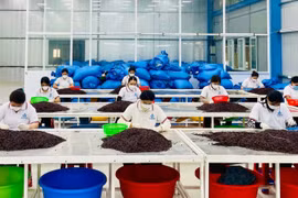 Nghị định số 235/2025/NĐ-CP của Chính phủ điều chỉnh đối tượng áp dụng chính sách khuyến công. Ảnh: V.T