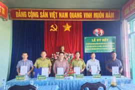 Ký kết quy chế phối hợp trong quản lý, bảo vệ và phát triển rừng. 