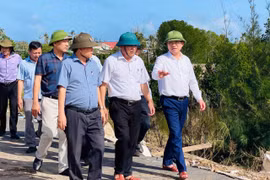 Chủ tịch UBND tỉnh Phạm Anh Tuấn (bìa phải) cùng đoàn công tác kiểm tra tình hình thiệt hại do bão số 13 gây ra tại xã An Lương. Ảnh: T.D