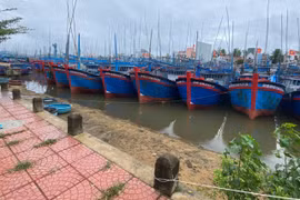 Cơ quan chức năng phối hợp với chính quyền địa phương hướng dẫn ngư dân sắp xếp tàu thuyền neo đậu an toàn, phân luồng cụ thể, tránh va chạm, đứt neo.