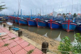 Cơ quan chức năng phối hợp với chính quyền địa phương hướng dẫn ngư dân sắp xếp tàu thuyền neo đậu an toàn, phân luồng cụ thể, tránh va chạm, đứt neo.
