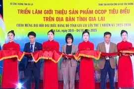 Phó Chủ tịch UBND tỉnh Nguyễn Thị Thanh Lịch (thứ 4 từ trái sang) cùng các đại biểu cắt băng khai mạc triển lãm. Ảnh: Huy Toàn