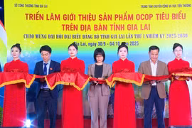 Phó Chủ tịch UBND tỉnh Nguyễn Thị Thanh Lịch (thứ 4 từ trái sang) cùng các đại biểu cắt băng khai mạc triển lãm. Ảnh: Huy Toàn