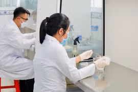 Các chuyên gia nghiên cứu sâu và tiến hành nhân giống, đánh giá hiệu suất sinh trưởng của nấm hương theo công nghệ Nhật Bản. 