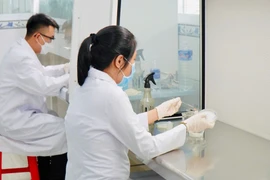 Các chuyên gia nghiên cứu sâu và tiến hành nhân giống, đánh giá hiệu suất sinh trưởng của nấm hương theo công nghệ Nhật Bản.