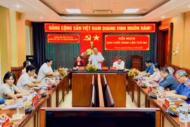 Hội nghị Ban Chấp hành Đảng bộ các cơ quan Đảng tỉnh Gia Lai lần thứ 3