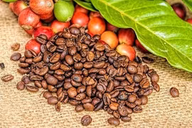 Tăng 1.200 đồng, cà phê Gia Lai đạt mức 114.200 đồng/kg.