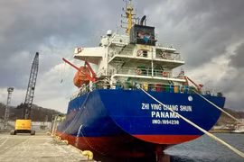 Tàu Zhi Ying Chang Shun neo đậu tại cảng Quy Nhơn và bị giữ trong 30 ngày. 