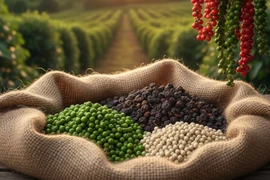 Ngày 25-11, hồ tiêu tăng thêm đến 1.500 đồng/kg.