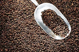 Xuất khẩu hạt tiêu của Việt Nam lập kỷ lục mới sau 10 tháng.