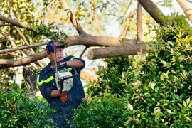 Công an tỉnh Gia Lai phát dọn cây xanh gãy đổ sau bão ở khu vực Quy Nhơn.