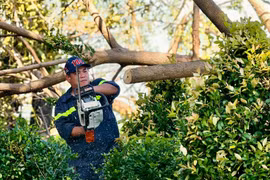 Công an tỉnh Gia Lai phát dọn cây xanh gãy đổ sau bão ở khu vực Quy Nhơn.