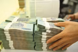 Chính phủ vừa ban hành quy định về Quỹ đầu tư mạo hiểm quốc gia và địa phương. Ảnh minh họa: Internet