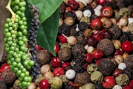 Hồ tiêu vẫn giữ đà tăng 500-1.000 đồng/kg so với phiên giao dịch ngày 1-11. 