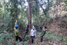 Các hộ nhận khoán quản lý, bảo vệ rừng của Vườn quốc gia Kon Ka Kinh phối hợp tuần tra, kiểm soát diện tích rừng nhận khoán. Ảnh: N.D