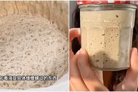 Nuôi men làm thú cưng- Trend mới của GenZ Trung Quốc. (Ảnh: Vtcnews)