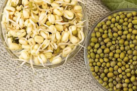 Top 5 thực phẩm mọc mầm không độc mà còn tăng giá trị dinh dưỡng