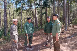 Lực lượng quản lý bảo vệ rừng chuyên trách của Ban Quản lý rừng phòng hộ Đông Bắc Chư Păh phối hợp cùng các hộ nhận khoán quản lý, bảo vệ rừng cùng tuần tra trong mùa khô 2025. Ảnh: N.D