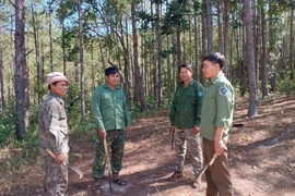 Lực lượng quản lý bảo vệ rừng chuyên trách của Ban Quản lý rừng phòng hộ Đông Bắc Chư Păh phối hợp cùng các hộ nhận khoán quản lý, bảo vệ rừng cùng tuần tra trong mùa khô 2025. Ảnh: N.D