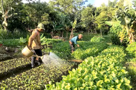 Dự báo, cảnh báo thời tiết tháng 4 trên địa bàn tỉnh Gia Lai