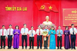 Thực hiện 4 khâu đột phá, đưa Gia Lai tiến nhanh và bền vững
