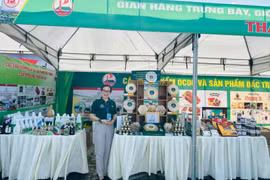 Công ty cổ phần Phát triển Yến Xuân Cao Nguyên hiện có khoảng 20 dòng sản phẩm yến sào. Ảnh: H.T