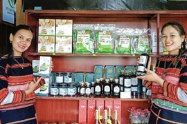 Người kể chuyện An Toàn bằng rượu sim