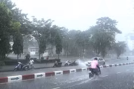 Gia Lai: Chủ động ứng phó với áp thấp nhiệt đới trên biển Đông mạnh lên thành bão và mưa lớn