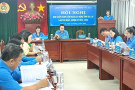 Hội nghị Ban Chấp hành Liên đoàn Lao động tỉnh Gia Lai lần thứ nhất