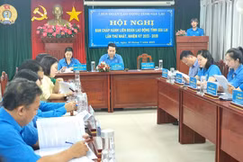 Hội nghị Ban Chấp hành Liên đoàn Lao động tỉnh Gia Lai lần thứ nhất