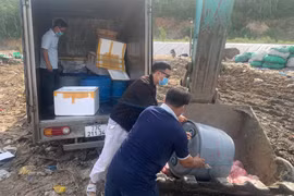 Gia Lai: Tiêu hủy hơn nửa tấn thịt heo và 420 bịch chả ram không rõ nguồn gốc