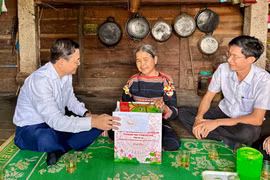 Phó Chủ tịch UBND tỉnh Nguyễn Tự Công Hoàng thăm hỏi, tặng quà cho bà Rơ Mah Nhon (làng Klăh, xã Ia Mơ). Ảnh: Hà Duy