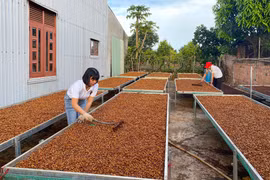 Gia Lai: Bãi bỏ ít nhất 30% điều kiện kinh doanh không cần thiết trong năm 2025