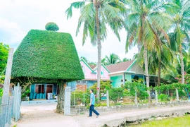 Hương sen, bóng dừa và ký ức xưa ở Phù Mỹ Tây