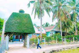 Hương sen, bóng dừa và ký ức xưa ở Phù Mỹ Tây