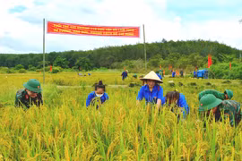 Biên cương đất ấm tình người