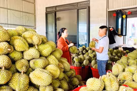 Báo chí đồng hành tích cực, hiệu quả cùng nông dân và doanh nghiệp