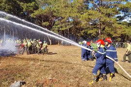 Gia Lai triển khai quyết liệt các giải pháp phòng cháy, chữa cháy rừng