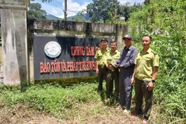 Lãnh đạo Hạt Kiểm lâm khu vực Đức Cơ bàn giao cá thể rùa đất lớn cho Trung tâm Cứu hộ, Bảo tồn và Phát triển sinh vật (Vườn quốc gia Kon Ka Kinh) chăm sóc. Ảnh: N.D