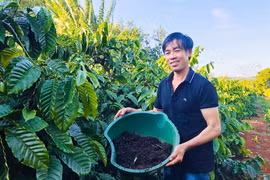 Anh Lê Viết Đen (làng Plei Briêng, xã Chư Pưh) "biến" chất thải chăn nuôi, vỏ cà phê, rơm rạ... thành phân bón hữu cơ cho cây trồng. 