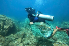 Phát huy vai trò cộng đồng trong bảo tồn đa dạng sinh học 