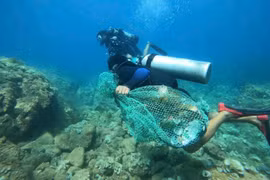 Phát huy vai trò cộng đồng trong bảo tồn đa dạng sinh học 