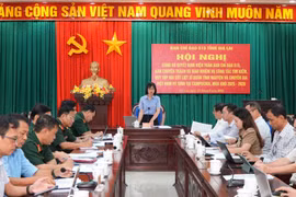 Phó Chủ tịch UBND tỉnh Nguyễn Thị Thanh Lịch-Trưởng Ban Chỉ đạo 515 tỉnh chủ trì hội nghị. Ảnh: M.Đ.D