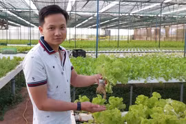 Anh Nguyễn Nam Phong vinh dự là 1 trong 63 nông dân tiêu biểu được tặng danh hiệu "Nông dân Việt Nam xuất sắc'' năm 2025. 