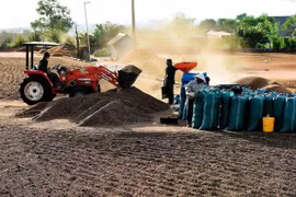 Xuất khẩu cà phê 6 tháng đầu năm tăng 67,5% về giá trị