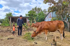 Gia Lai phân bổ hơn 165 tỷ đồng vốn sự nghiệp chương trình giảm nghèo bền vững 