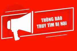 Gia Lai: Tìm người bị hại liên quan vụ án trộm cắp tài sản tại Ayun Pa và Phú Thiện